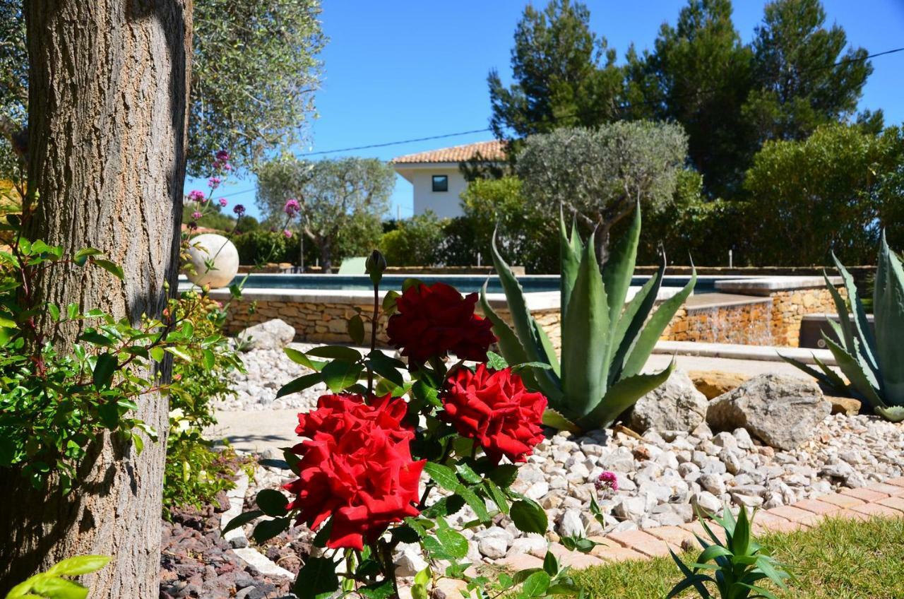 Appartements Du Jas De Clare La Cadiere-d'Azur Exterior foto